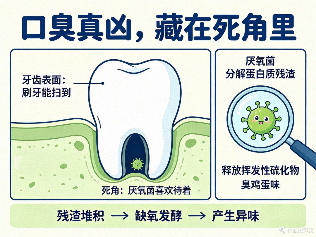 天天刷牙还有口气?真不是没刷干净