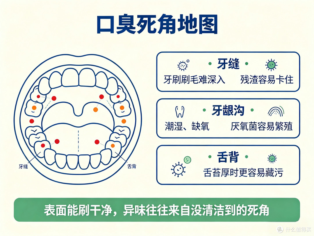 天天刷牙还有口气?真不是没刷干净