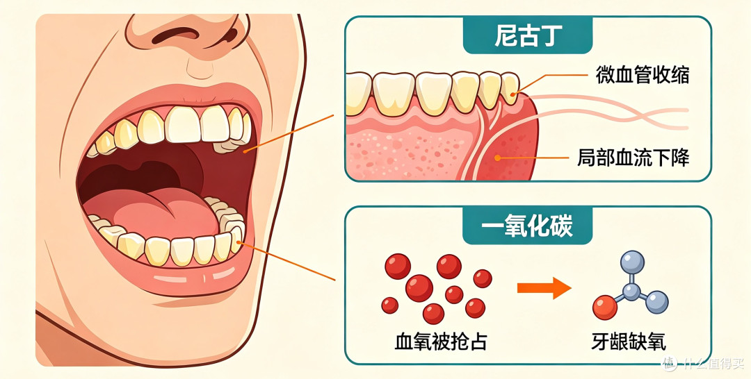 抽烟的门牙可不像图里希望能幸免，还这么白哦