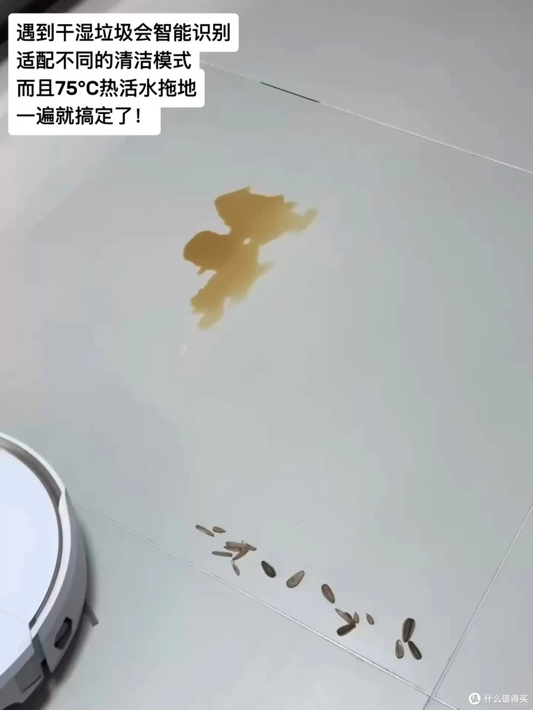 养猫 3 年这次换了云鲸逍遥 003 Ultra ,铲屎官终于不用抠滚刷了