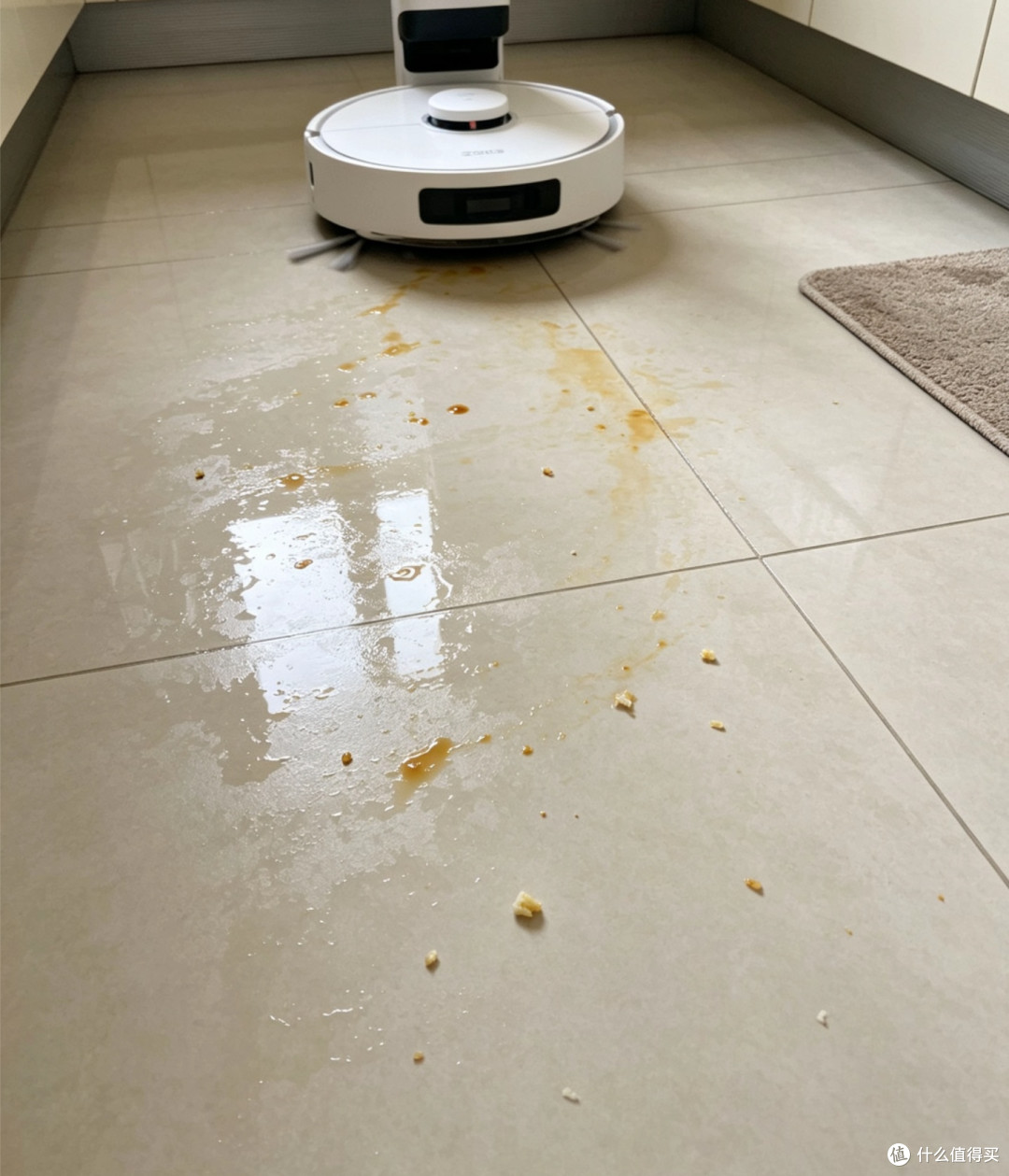 养宠家庭实测云鲸J6水箱版:热活水+零缠毛,终于实现光脚自由