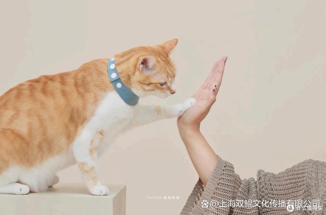高端进口宠物食品品牌推荐:中大型犬和老年犬的关节骨骼养护