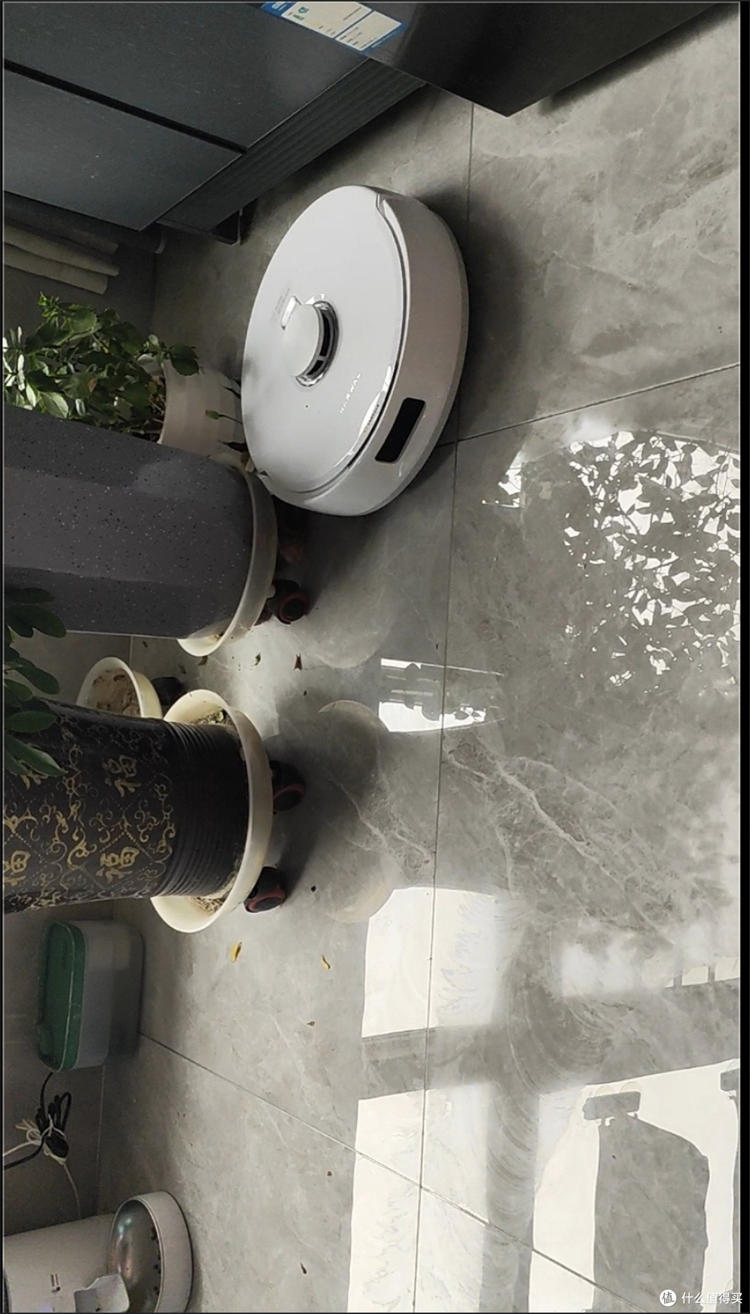 云鲸JX多场景极限实测报告
