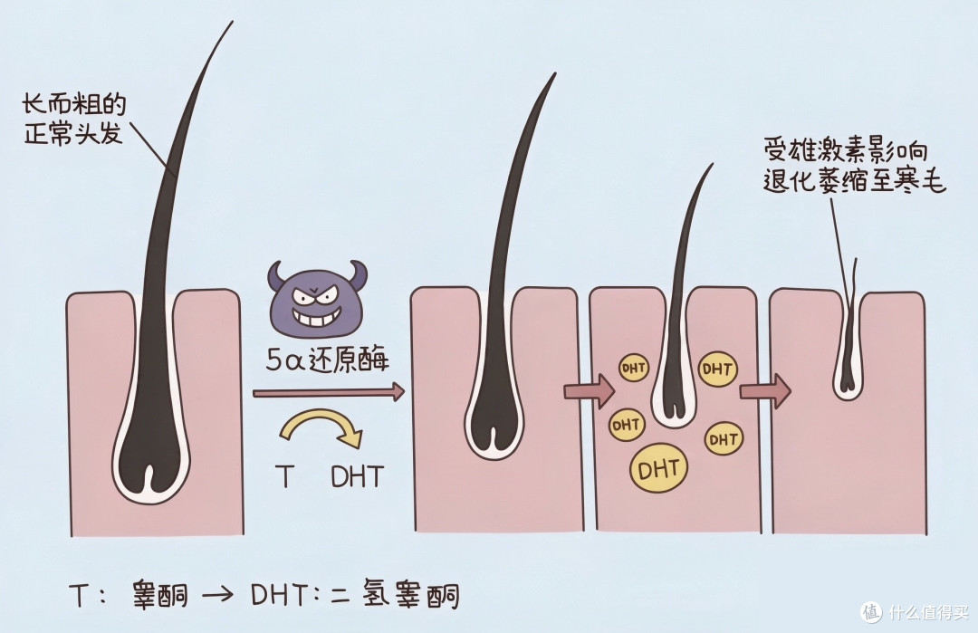科学选择洗发水|你洗了二十多年的头,可能一直洗错了对象了