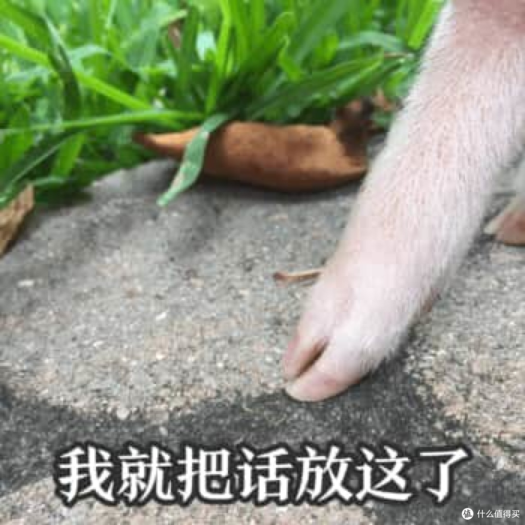 开学装机、游戏本外接,给显示器留900块够不够?