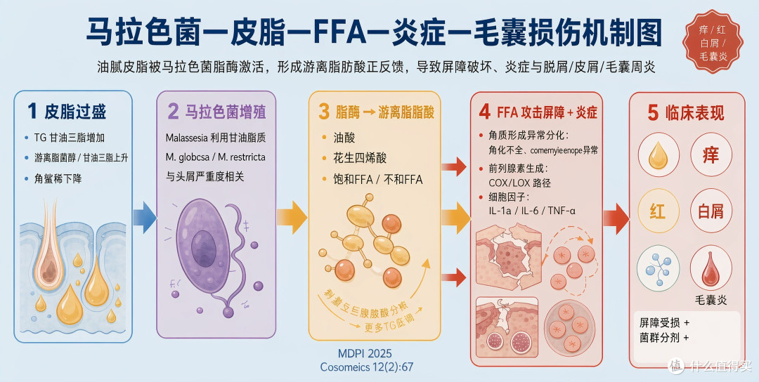 科学选择洗发水|你洗了二十多年的头,可能一直洗错了对象了