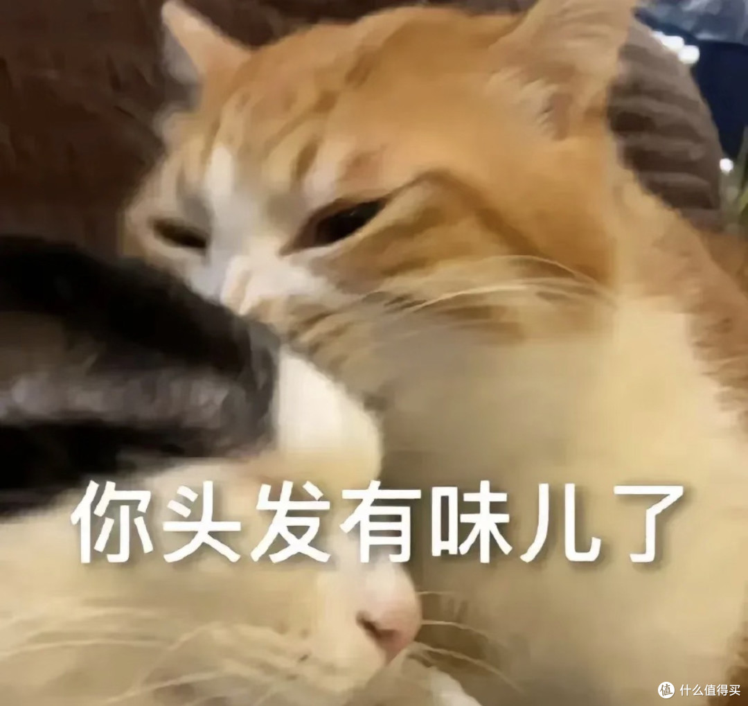 科学选择洗发水|你洗了二十多年的头,可能一直洗错了对象了
