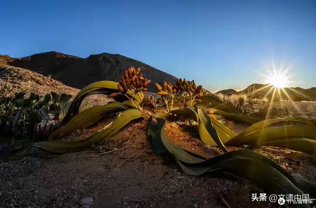 蛋白粉买哪种比较好?按6个参数挑,别被包装和话术带偏