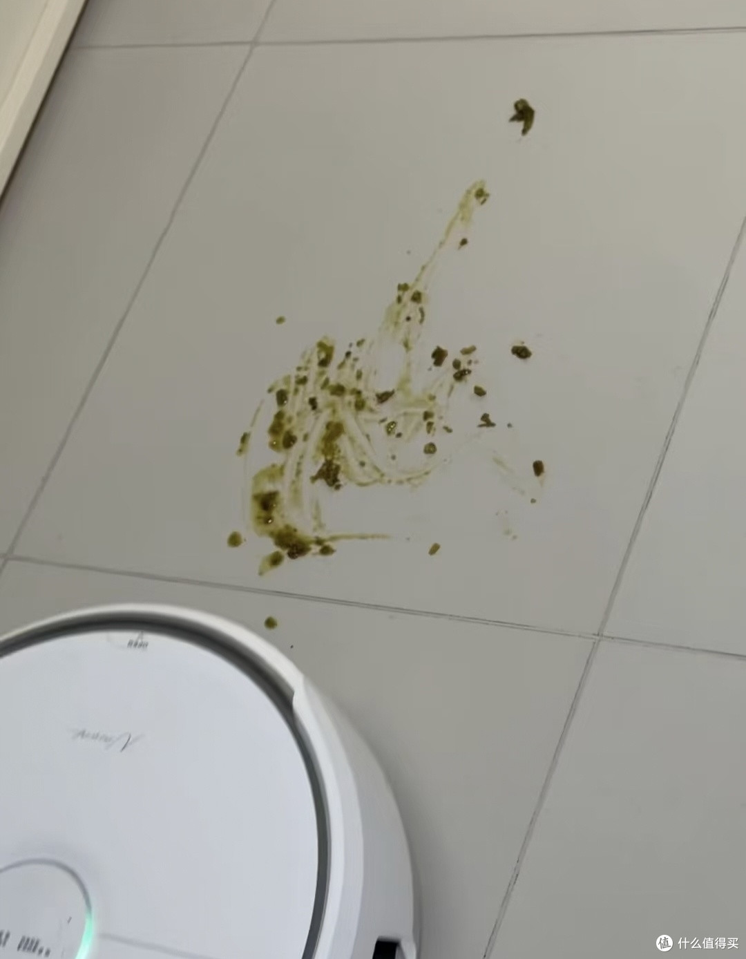 养宠家庭慎入!云鲸长期实测|真的能躲开猫软便噩梦?