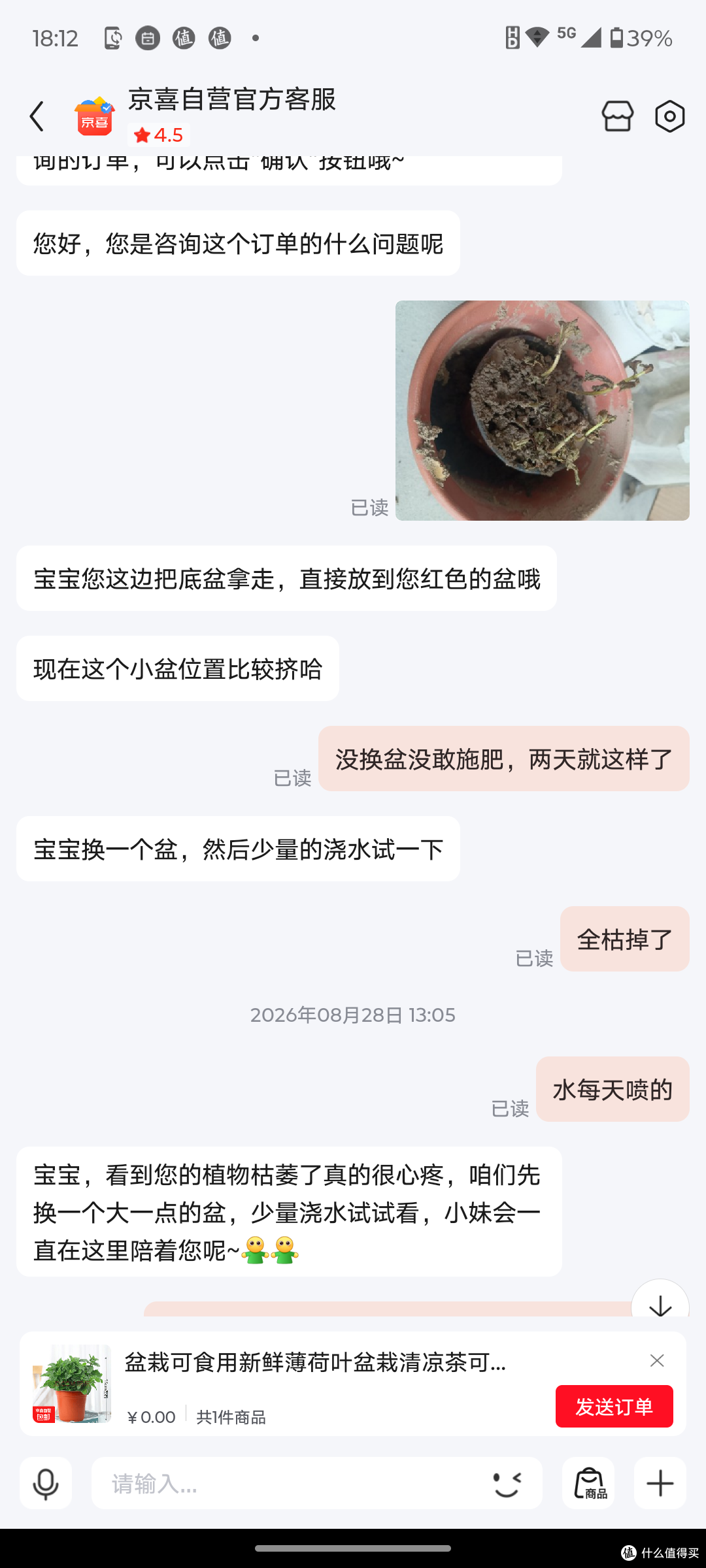 京喜3块钱买的薄荷,Mary已经抛弃了我,Jennifer终将离我而去