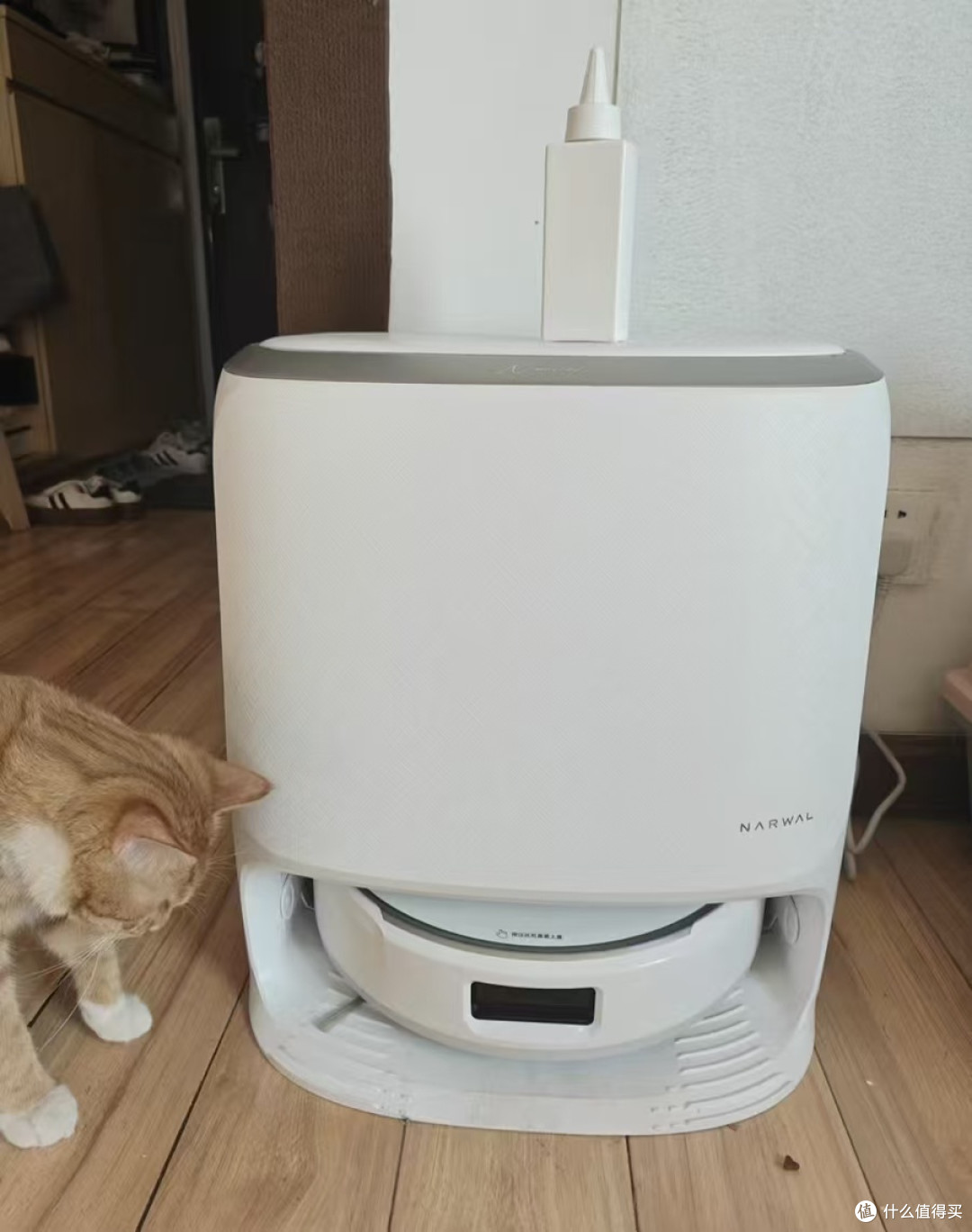云鲸J6水箱版两周实测,操作简单!老人也能轻松上手