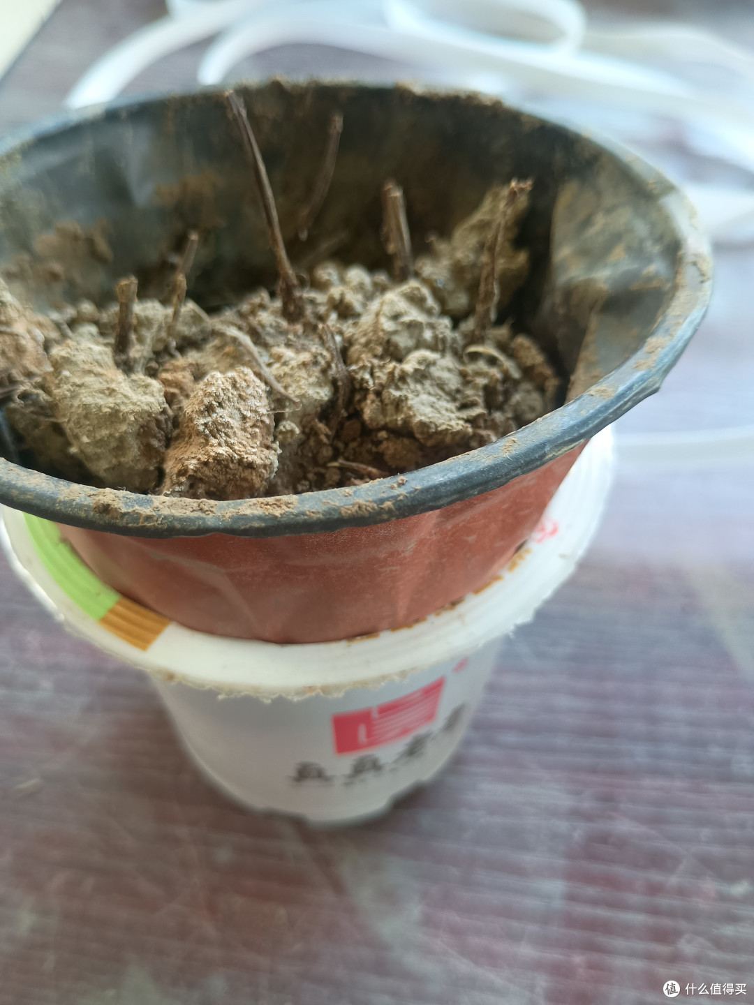 家里这种绿豆汤八宝粥的罐头成灾，连收废品的都嫌弃不肯收，拿两个出来正好盆搁上去能架空，里面放点水，靠绳子的毛细现象就能吸到土里