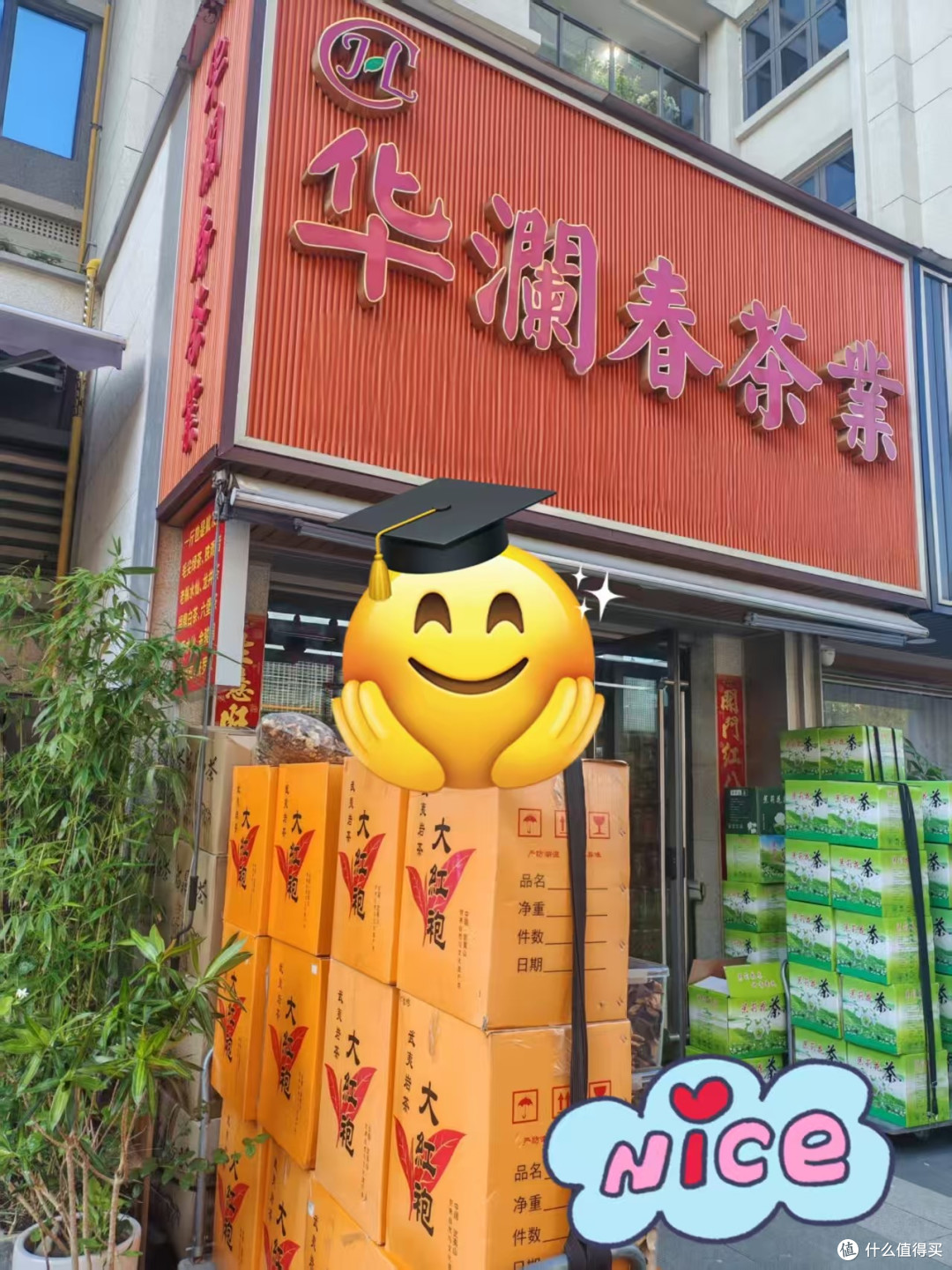 福州旅游买茶避坑|五里亭探店,这家批发店游客也友好