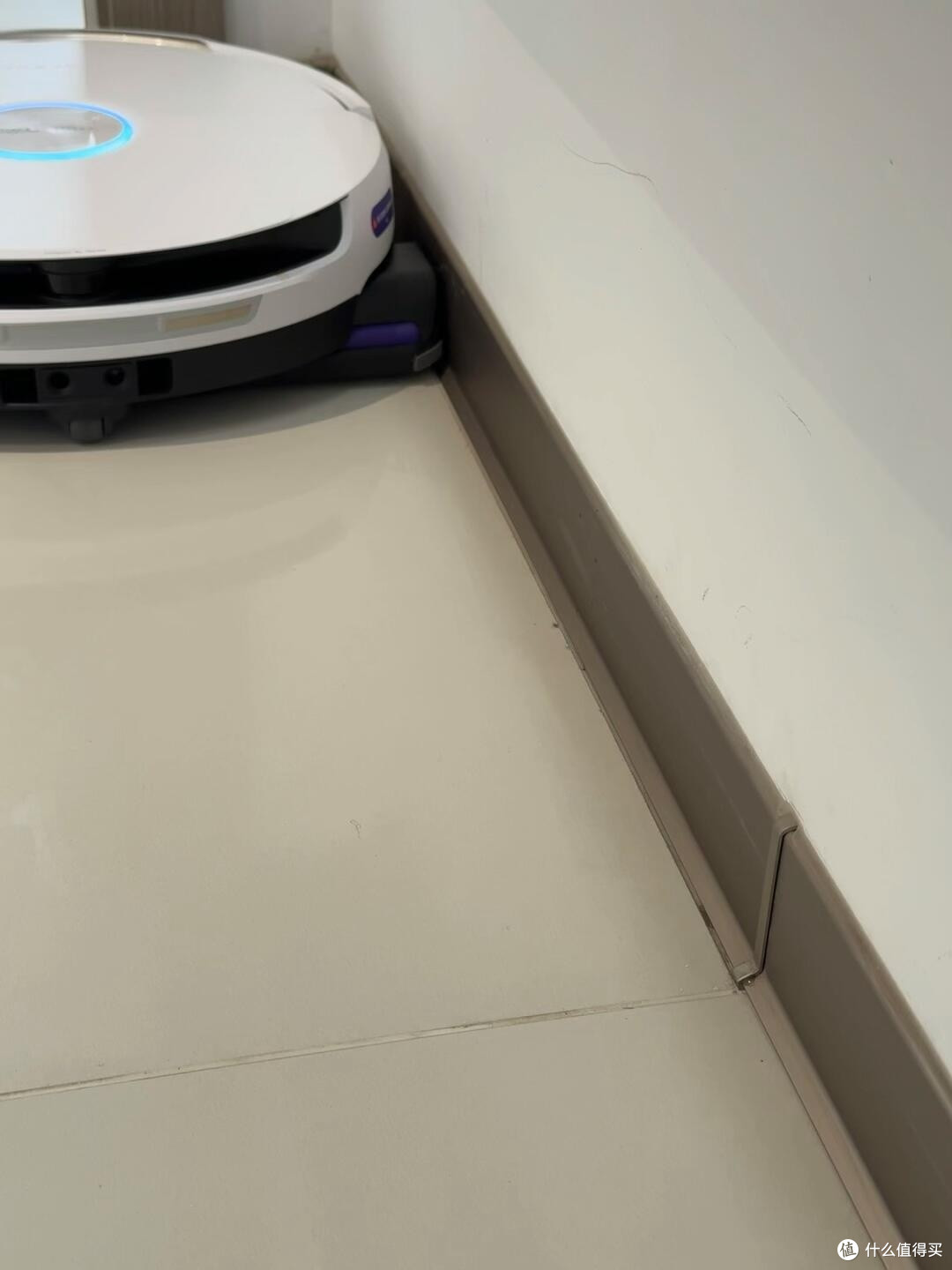 养猫之后，才懂地面干净有多难得