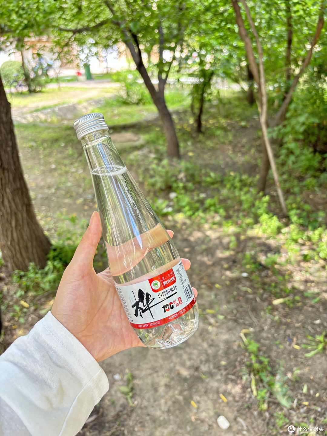 森工集团白桦树汁|纯净无添加的树汁饮品💧