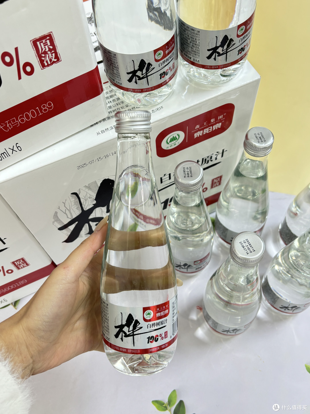 森工集团白桦树汁|长白山限定的树汁🍃