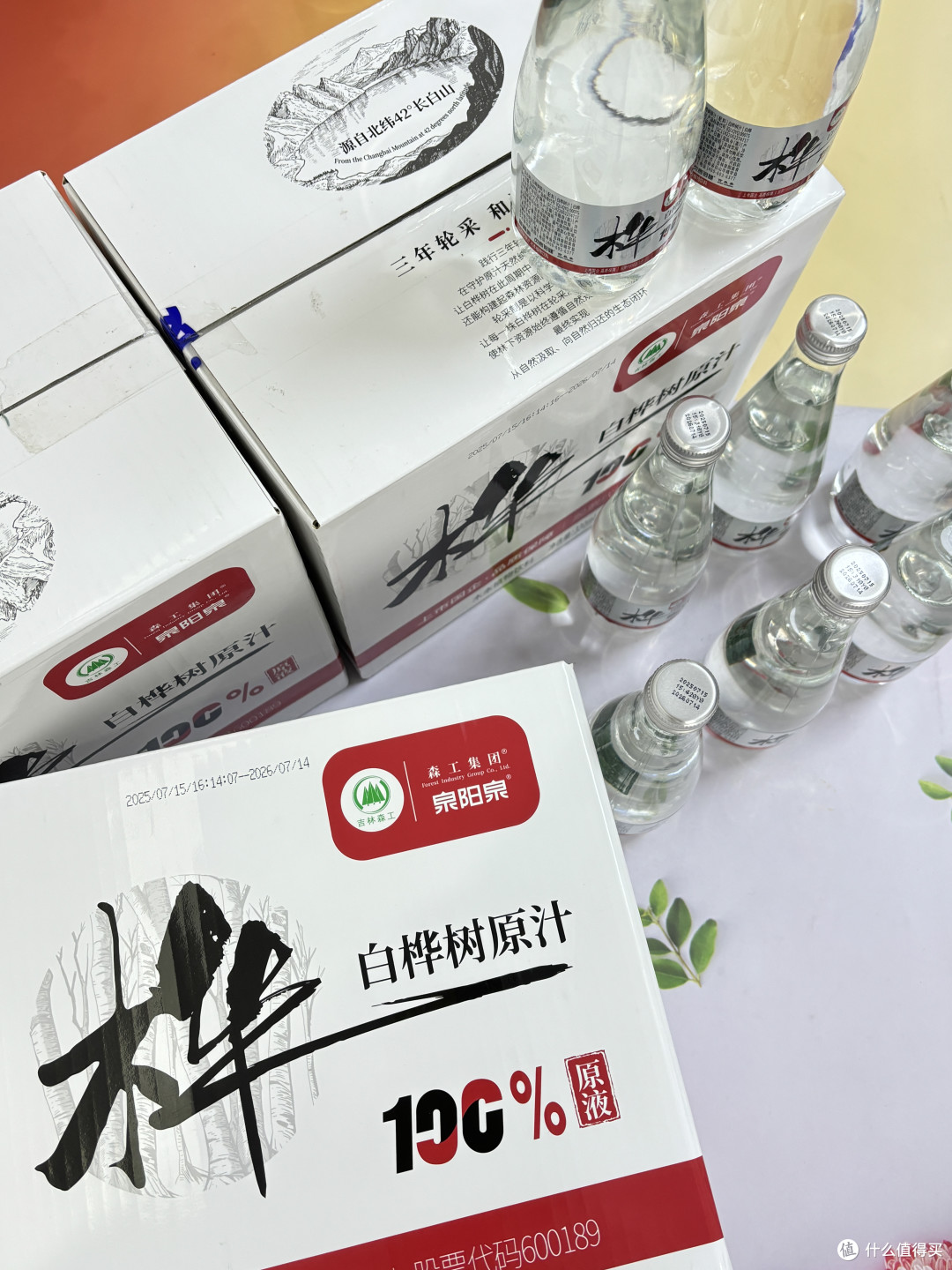 森工集团白桦树汁|长白山限定的树汁🍃