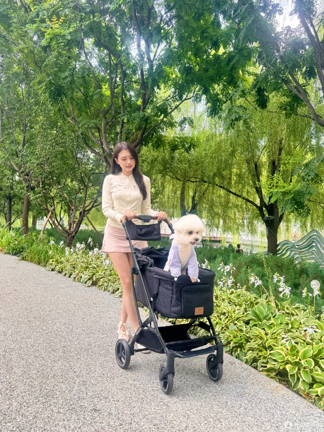 养小型犬需要买宠物推车吗?别急着买,看看这3点再决定