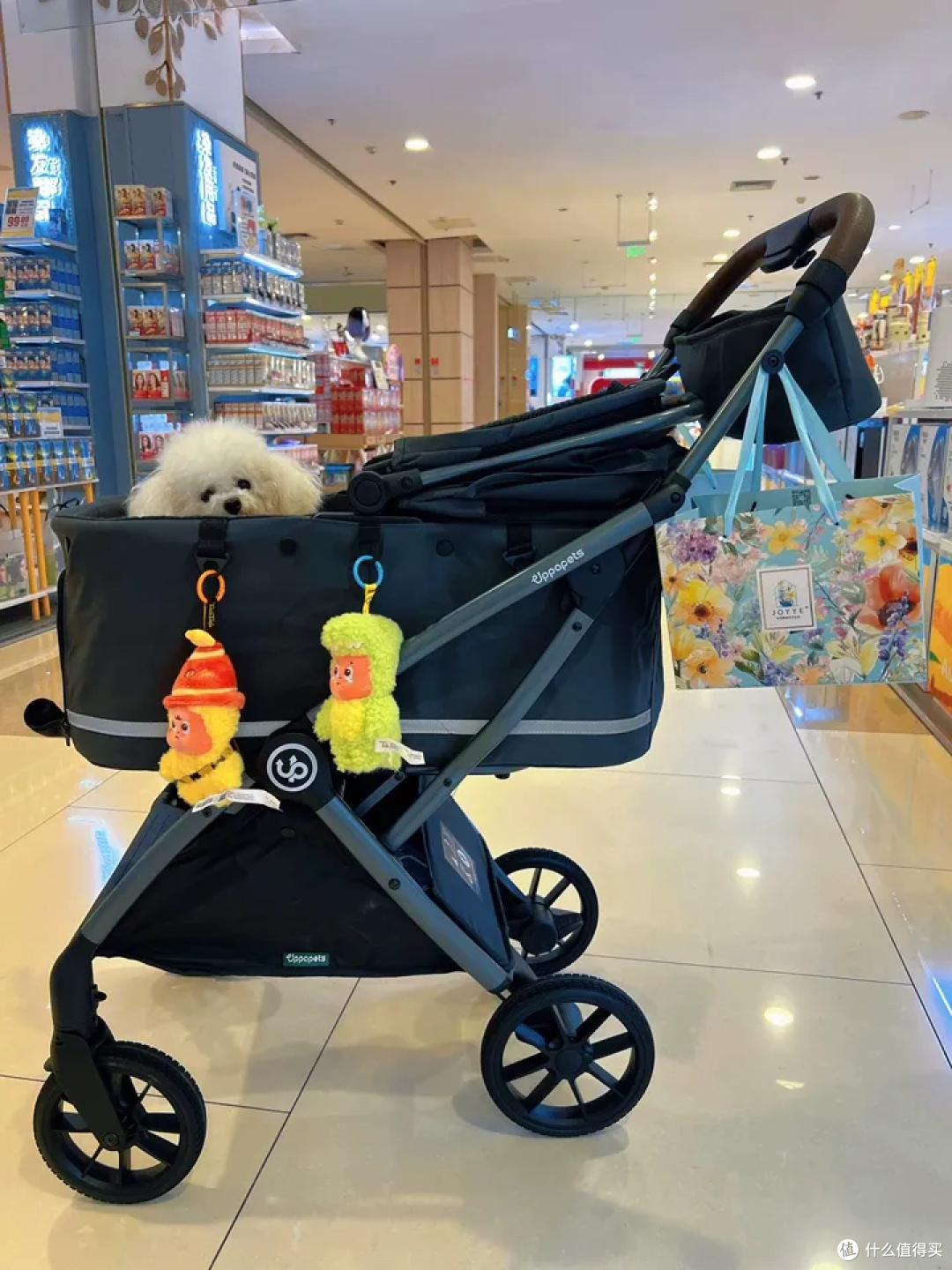 养小型犬需要买宠物推车吗?别急着买,看看这3点再决定
