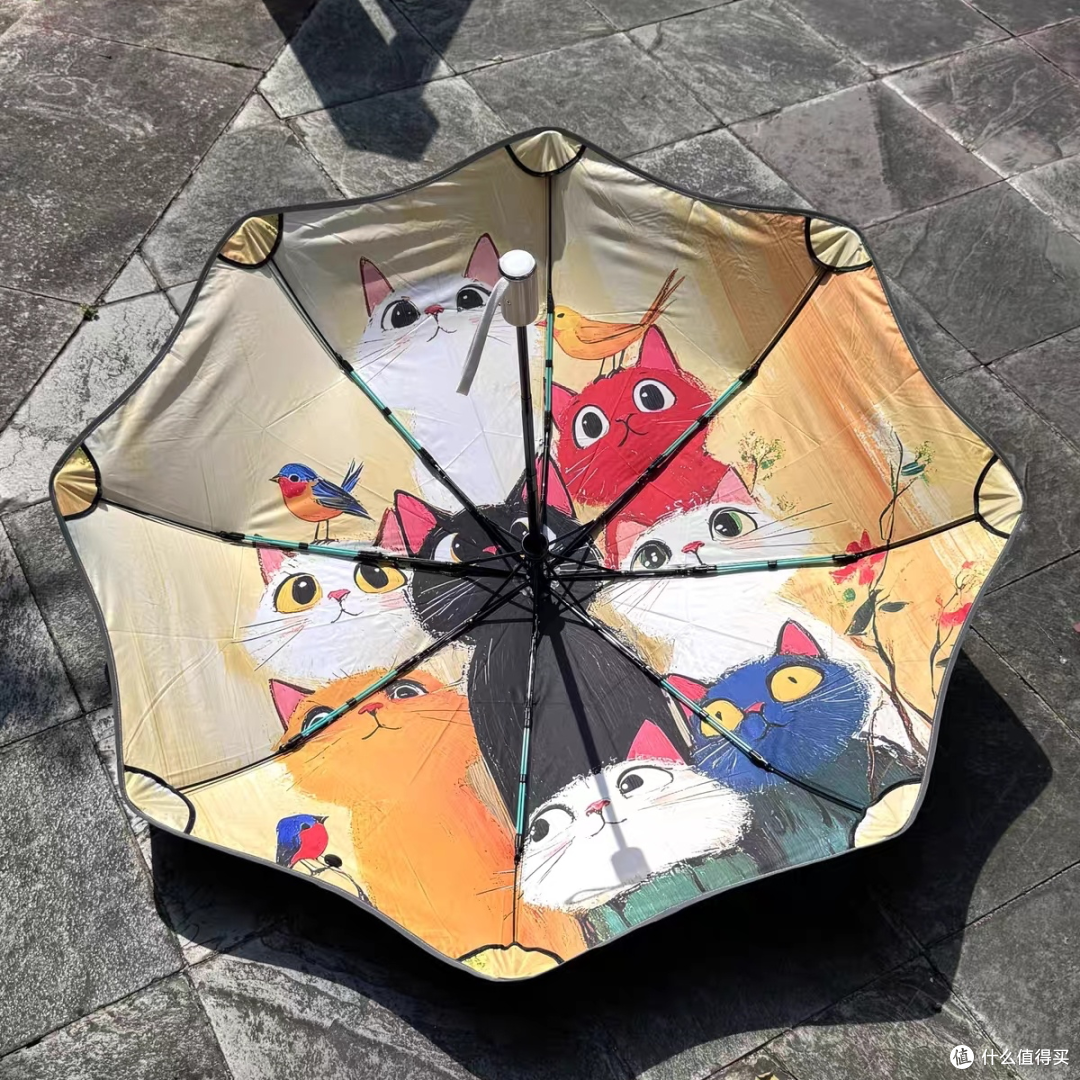 猫咪全自动折叠晴雨伞自用实测