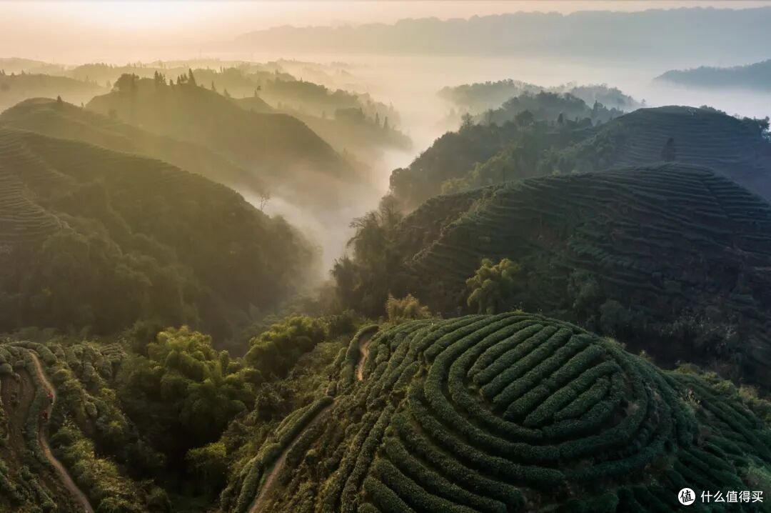 为了吃都值得专门飞一趟！这里的可玩性比你想的高出好几个level