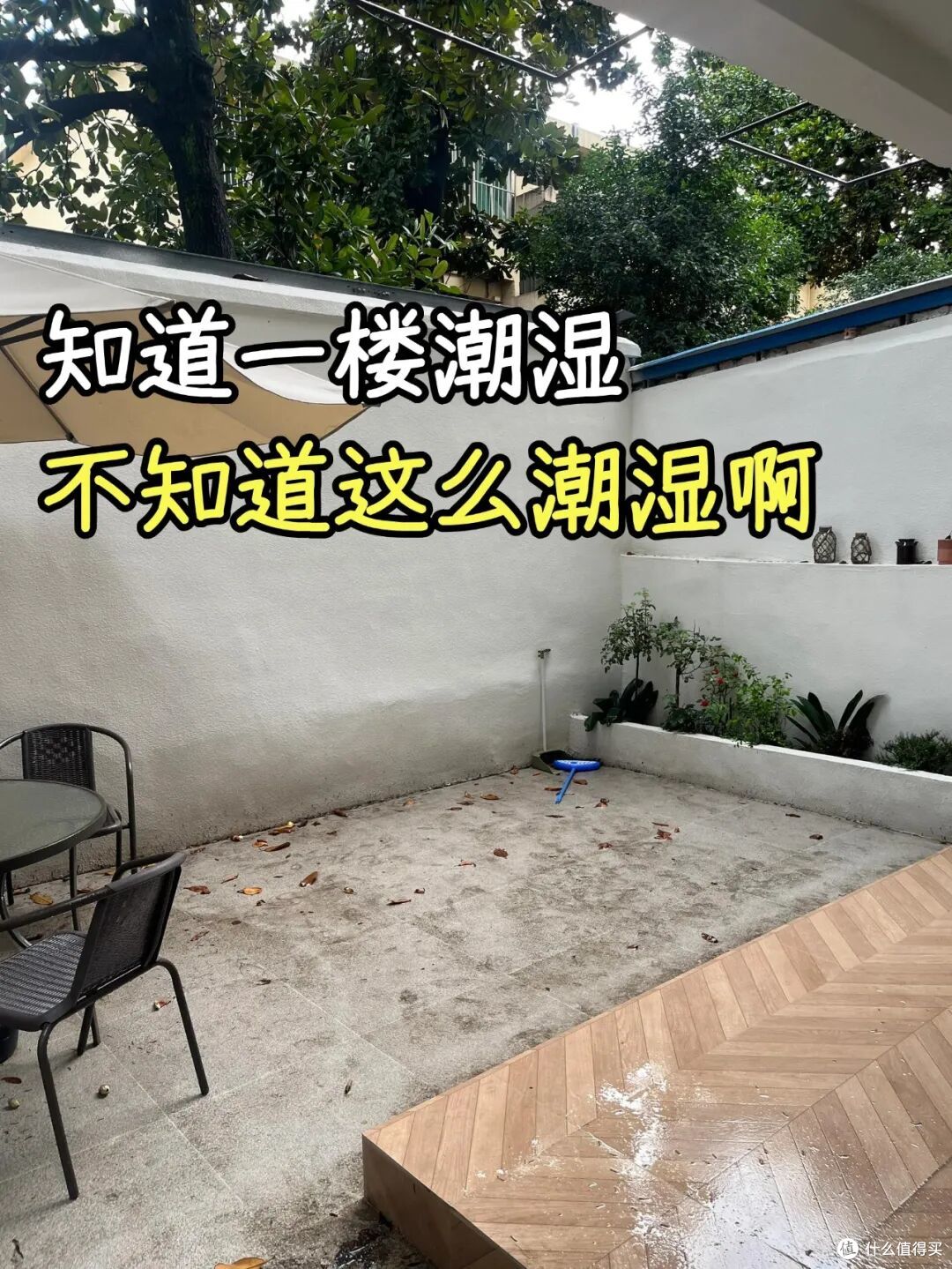 不听劝，买了“一楼带院”的房子，入住1年，苦不堪言
