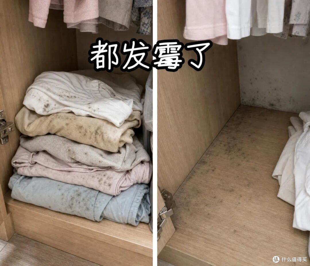 不听劝，买了“一楼带院”的房子，入住1年，苦不堪言