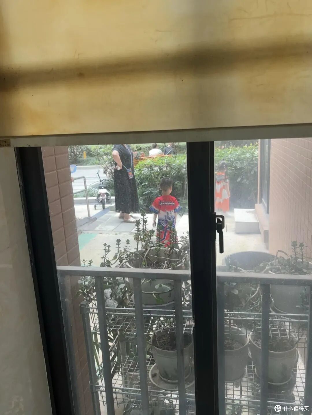 不听劝，买了“一楼带院”的房子，入住1年，苦不堪言