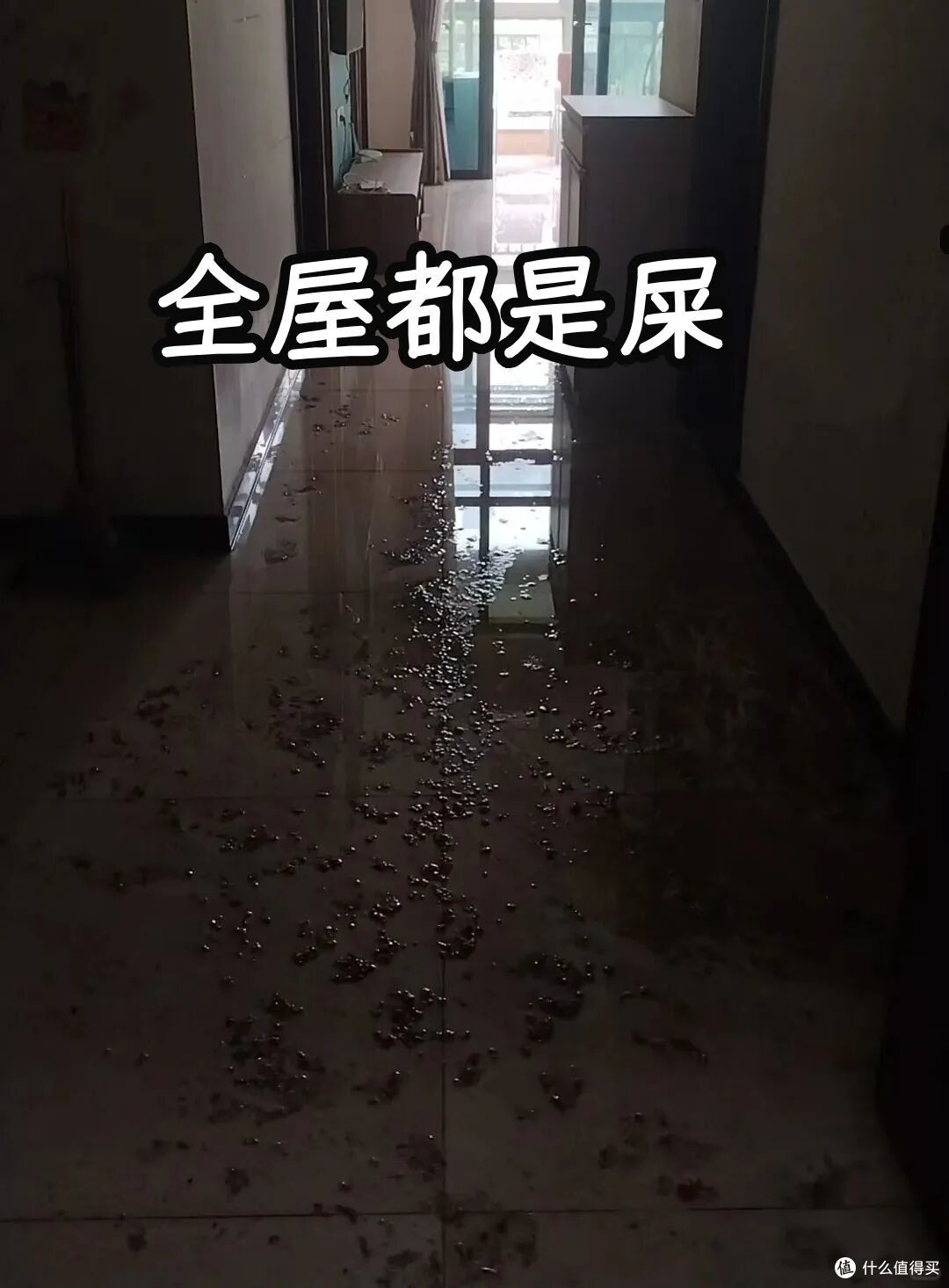 不听劝，买了“一楼带院”的房子，入住1年，苦不堪言