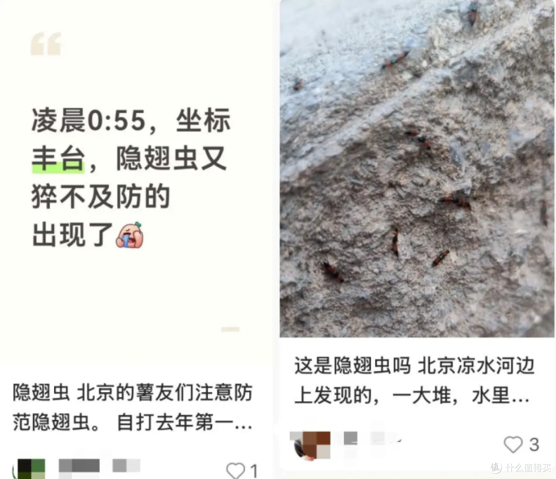 北方多地已出现,被称为“飞行的硫酸”?紧急提醒
