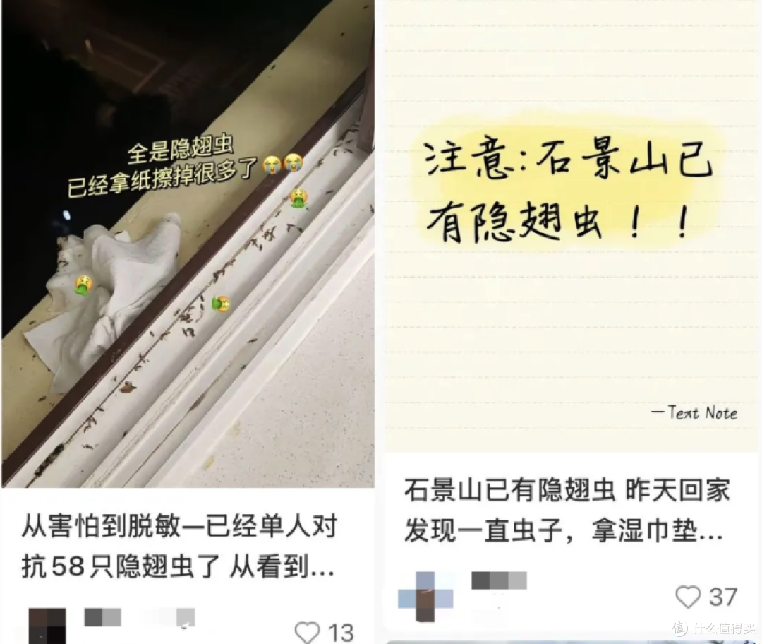 北方多地已出现,被称为“飞行的硫酸”?紧急提醒