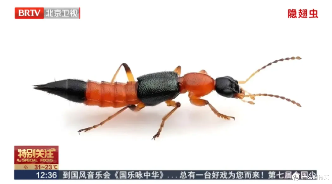 北方多地已出现,被称为“飞行的硫酸”?紧急提醒
