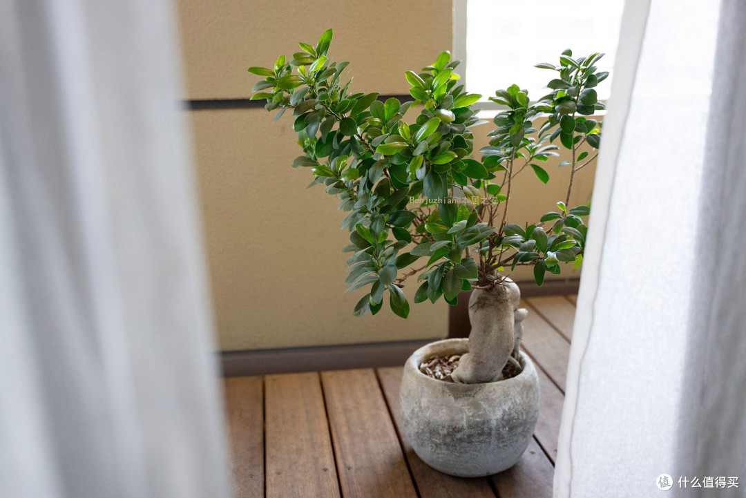 上海姑娘在日本的家:39㎡,全屋布置得精致暖心,好看又好住!