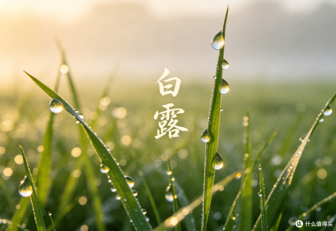 一场秋雨一场凉,白露后餐桌上,这3样多吃,3样少碰