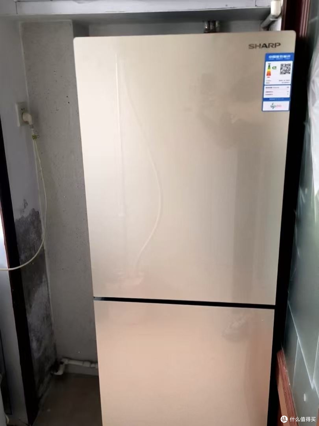 风冷无霜不用除霜的冰箱太省事了