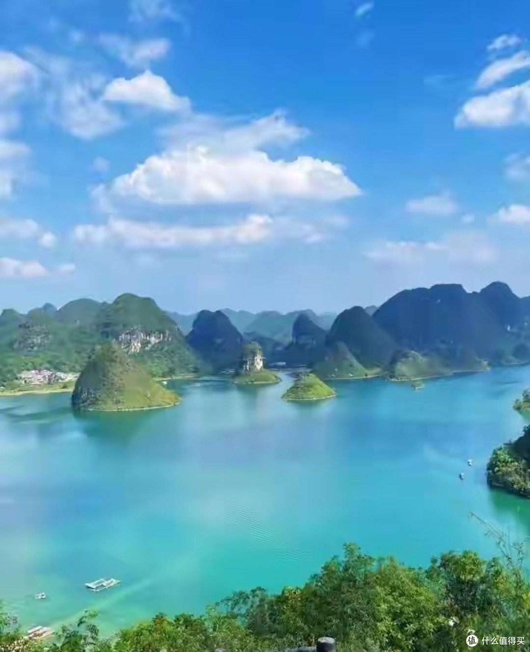 鱼油哪些牌子比较好?6个国产品牌按有效含量与产品身份比较