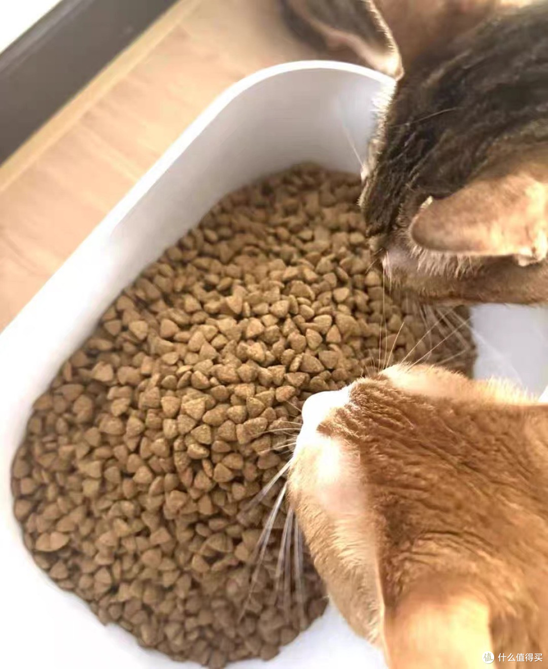 进口天然鲜肉猫粮HALO自然光环呵护肠胃低脂健美全阶段猫咪通用