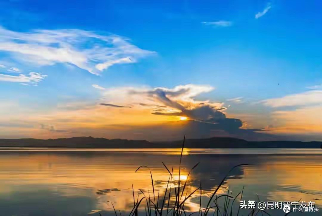 鱼油品牌哪家靠谱?判断关键是证据能否对应现售产品