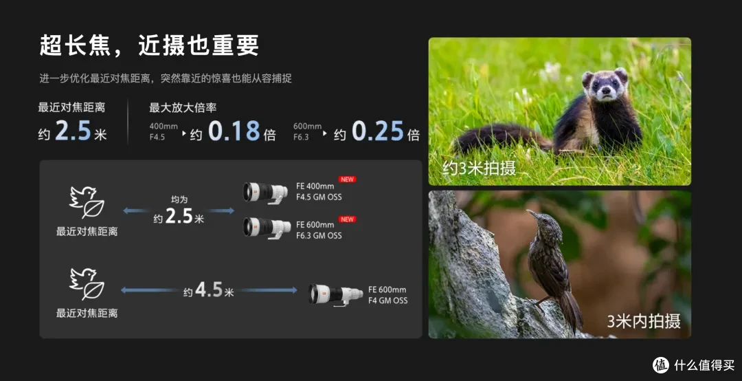 不到1kg的445GM和663GM,索尼这次把超长焦做得太“轻”了!