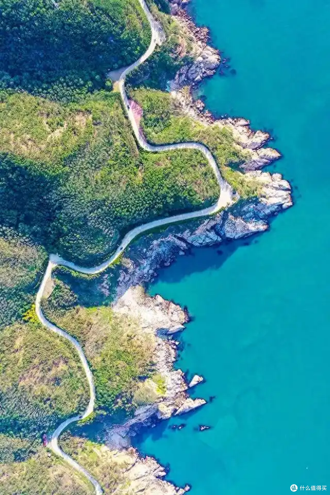 威海环海路 · 一面向海，一面松林