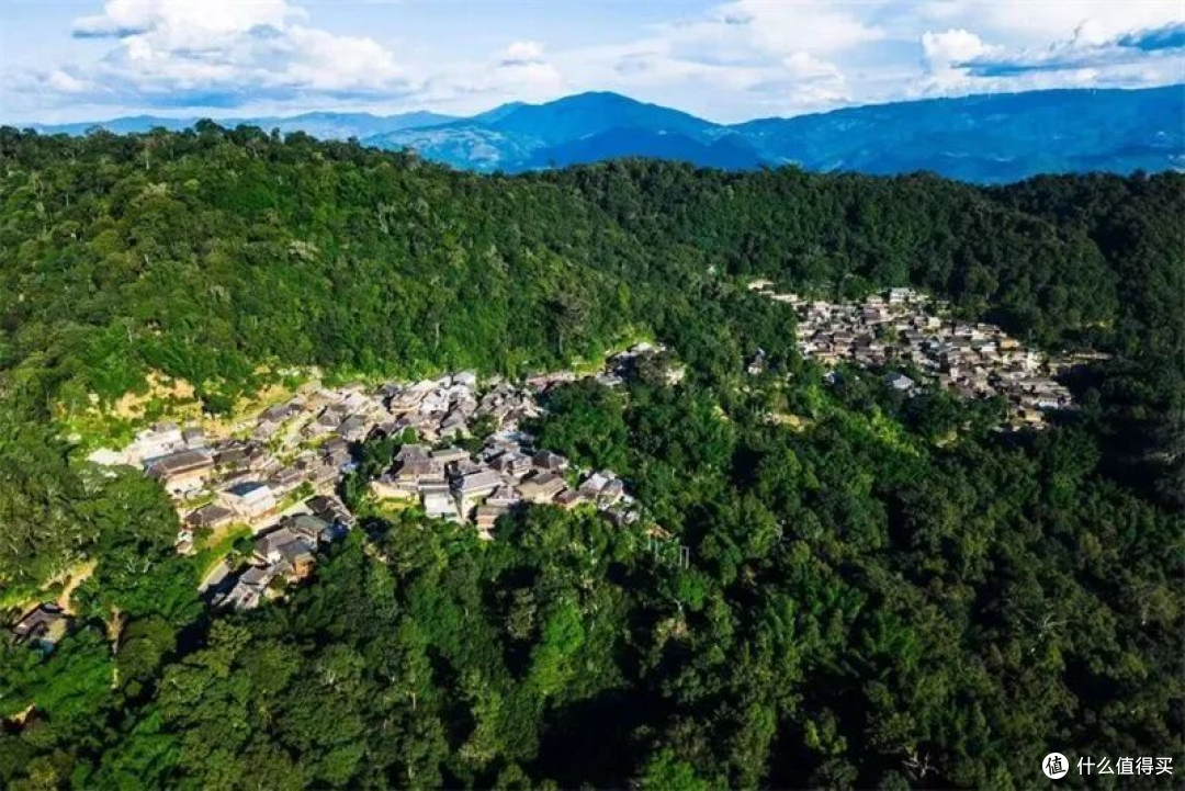 普洱万亩茶山 · 层叠的绿意