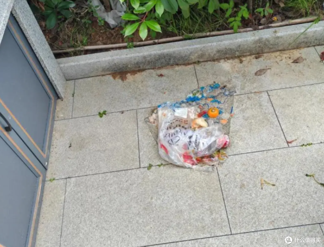 一楼带院子是普通人的“别墅”？以为捡了大便宜，入住后扛不住了