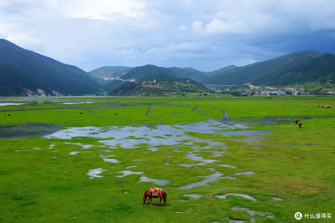 大海草山风车草甸风光
