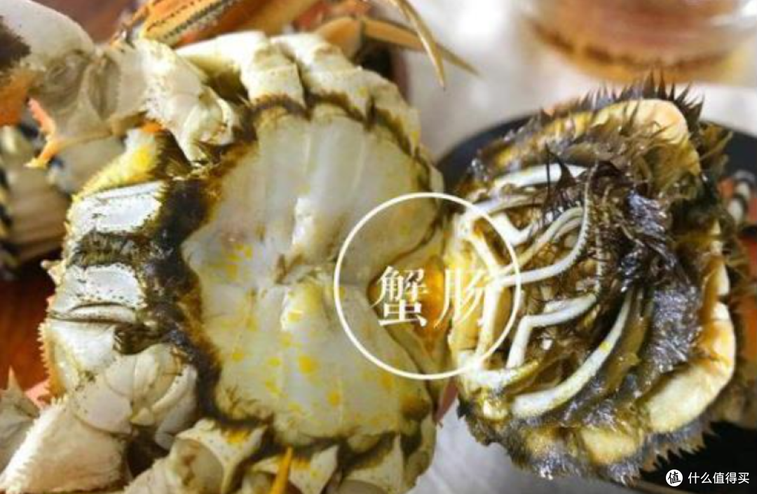 蟹季避坑指南：这4种螃蟹千万别买！海鲜老板打死不说的秘密！