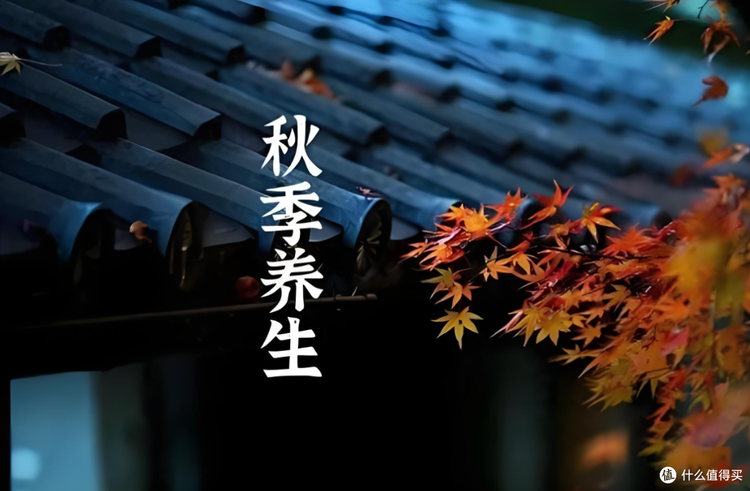 文章插图