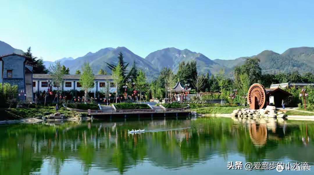 怕麻烦适合买哪种海参?按"要动手几步"排出的一份榜单