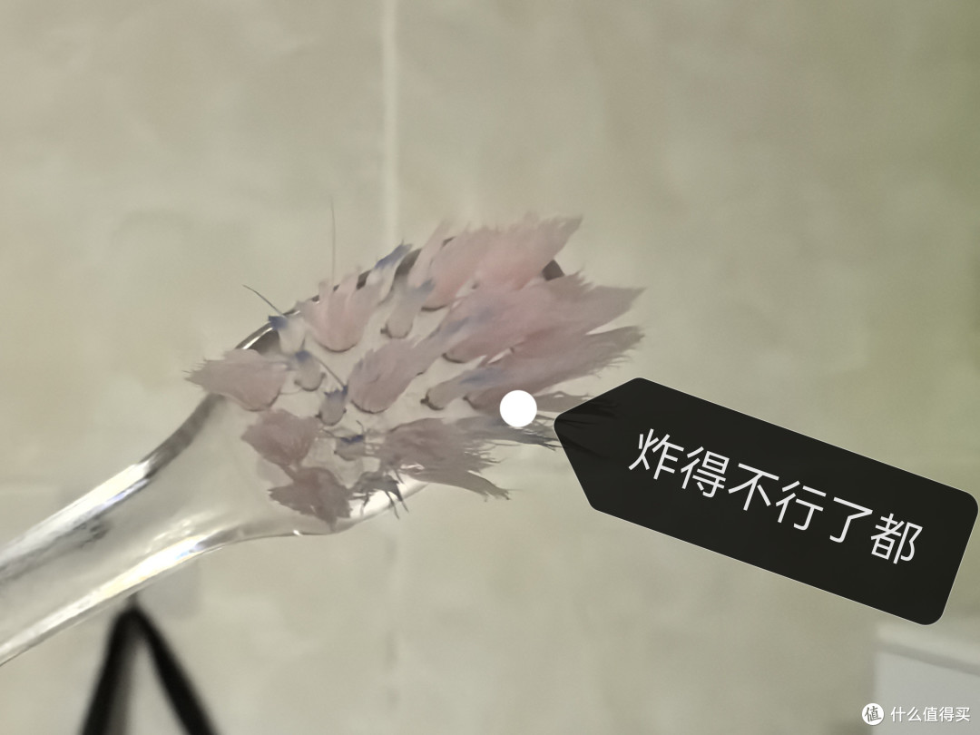 牙刷比马桶还脏?真该慌的不是细菌多