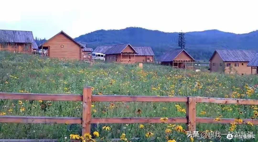 什么品牌的蛋白粉最好？6款国产产品公开信息与适用方向解析