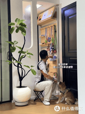 年轻人的“邪修收纳”太顶了,一个比一个精妙,我怎么就想不到?
