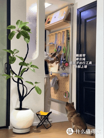 年轻人的“邪修收纳”太顶了,一个比一个精妙,我怎么就想不到?